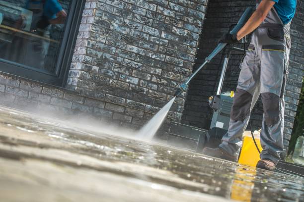 Best Soft Washing  in Paloma Creek South, TX