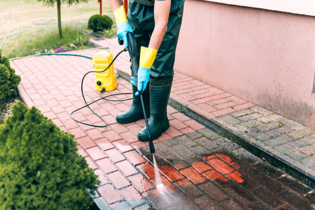 Best Dumpster Area Cleaning  in Paloma Creek South, TX