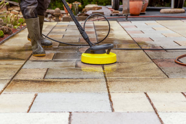 Best Pre-Holiday Cleaning  in Paloma Creek South, TX